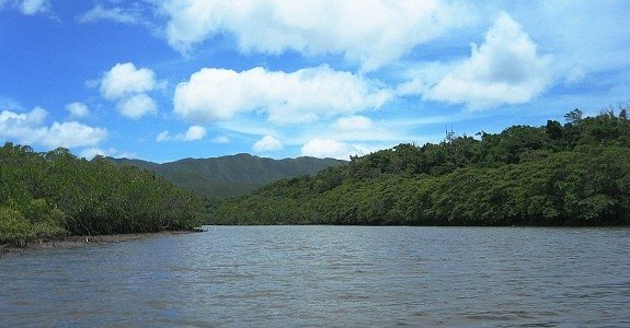 Iriomote, Japan