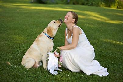 5 Reasons to Have Your Dog in Your Wedding