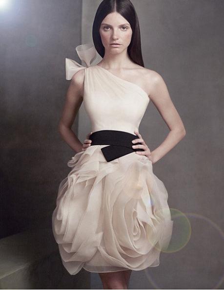 One Shoulder Organza Dress...