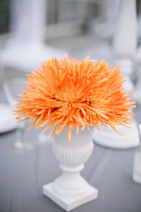 Tangerine Tango Wedding Color Trend...