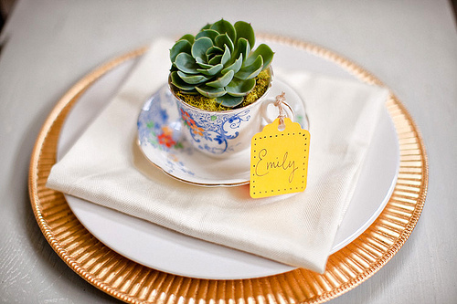 Succulent Tea Cup Escort Card...