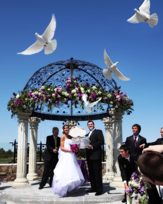 Butterfly or Dove Release