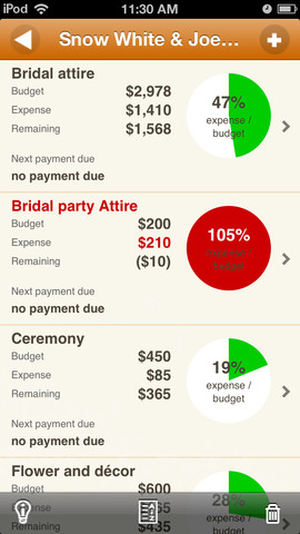 Wedding Budget