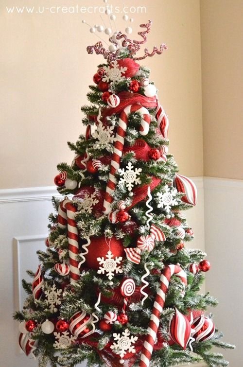 christmas tree,tree,christmas decoration,fir,decor,