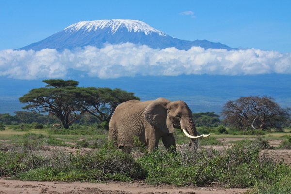 Kilimanjaro National Park, Tanzania