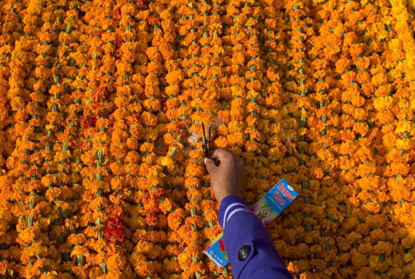 Diwali in Sri Lanka