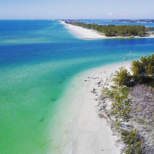 habitat, beach, shore, coast, sea,