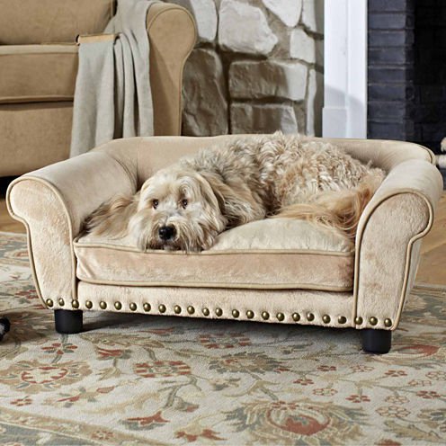 furniture, couch, dog breed, loveseat, dog,