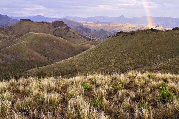 Spring Basin Wilderness – Oregon