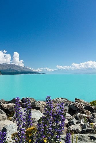 Lake Pukaki