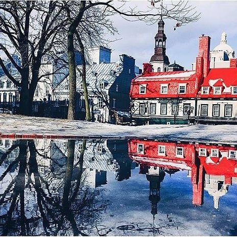 town, landmark, winter, tree, snow,