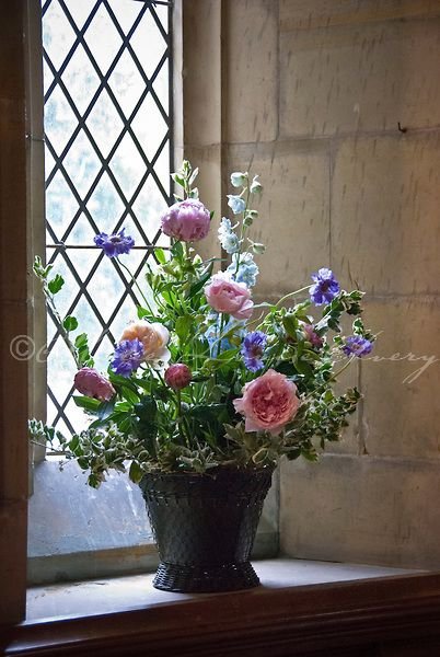 Summer Garden Flowers