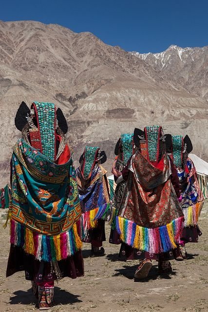 people,camel,tribe,tradition,travel,