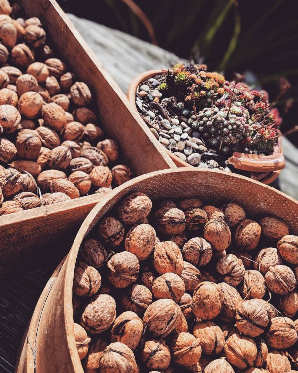 tree nuts, food, walnut, nut, dried fruit,