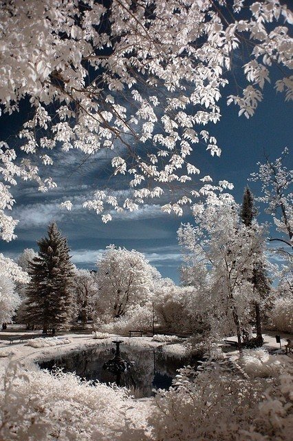 Winter Pond