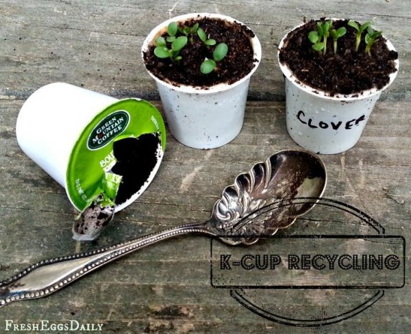 Turn the Cups into Seed Starters