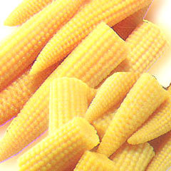 Baby Corn Delight