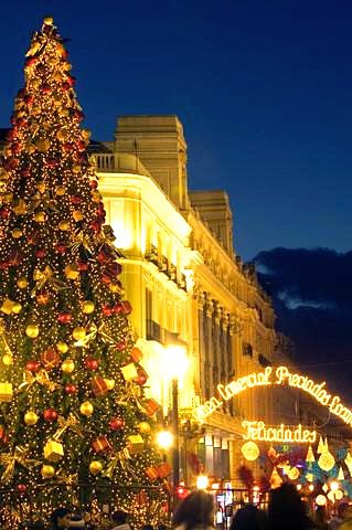 Christmas Tree at the Puerta Del Sol, Madrid