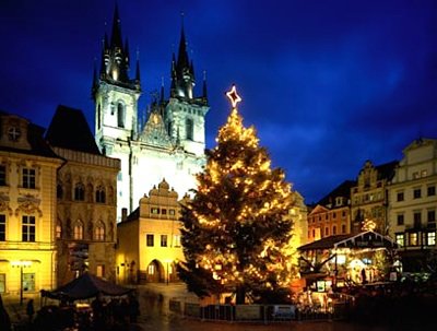 Christmas Tree in Prague, Czech Republic