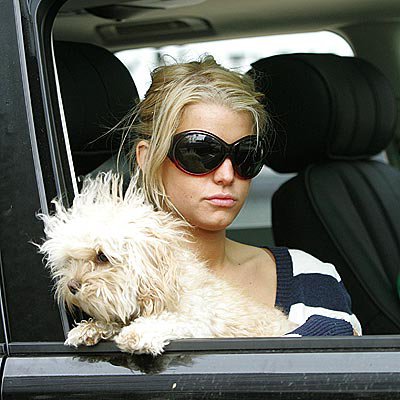 Jessica Simpson and Daisy ...