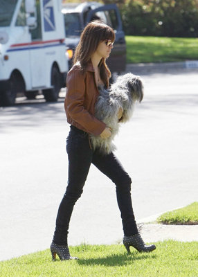 Louboutins for a Dog Day Afternoon