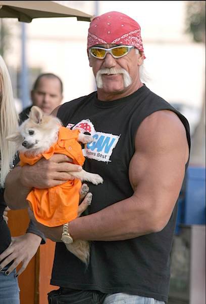 Hulk Hogan