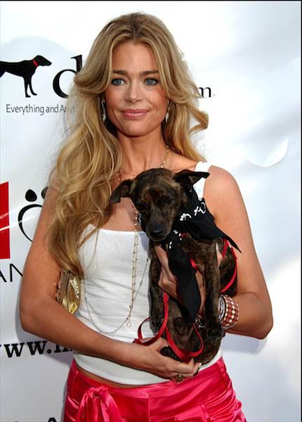 Denise Richards