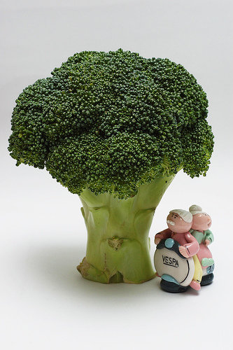 Broccoli