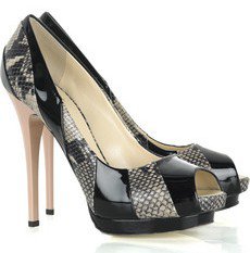 Giuseppe Zanotti Snakeskin and Leather Pumps