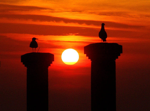 Watch the Sunset Together