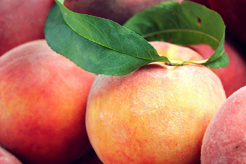 Peaches and Nectarines