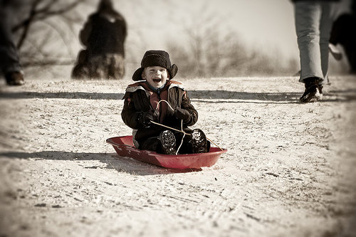 Go Sledding Together