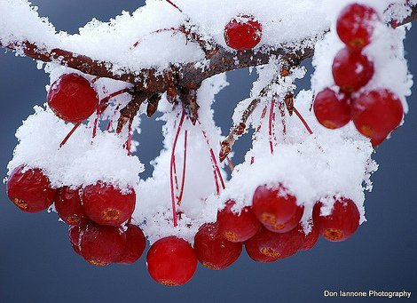 Measure the Snowfall