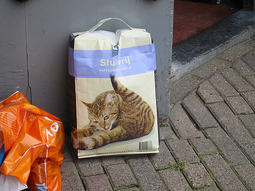 Cat Litter