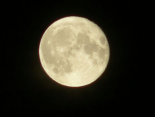 Enjoy a Full Moon Together