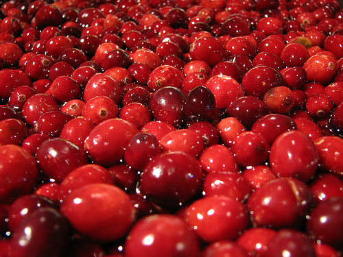 Cranberry Almond Biscotti