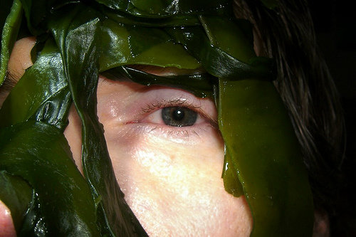 Seaweed Wraps