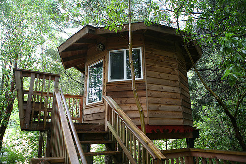 Out N about Treehouse Treesort in Takilma, Oregon