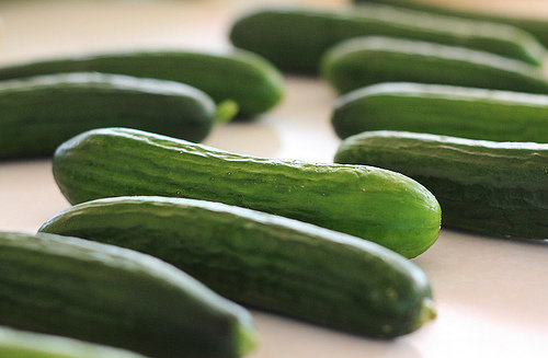 Cucumbers and Carrots