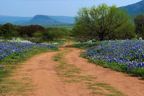 Texas Hill Country