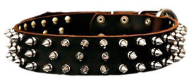 APBT Leather Spiked Dog Collar - 3 Rows of Spikes