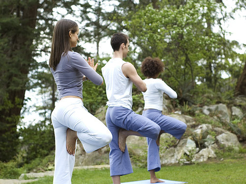 The Tree (yoga)