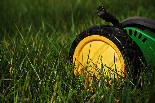 Lawn Mowing