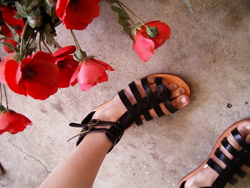 Gladiator Sandals