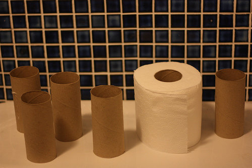 The inside of Toilet Rolls