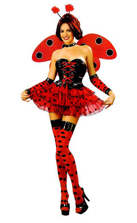 Lady Bug Fancy Dress