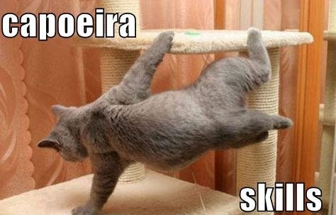 Capoeira Cat