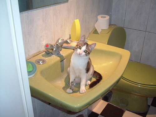 So What is a Sink for?