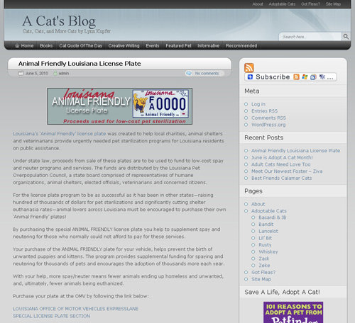 A Cat’s Blog is Written by Another Fosterer