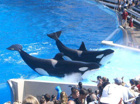 Sea World